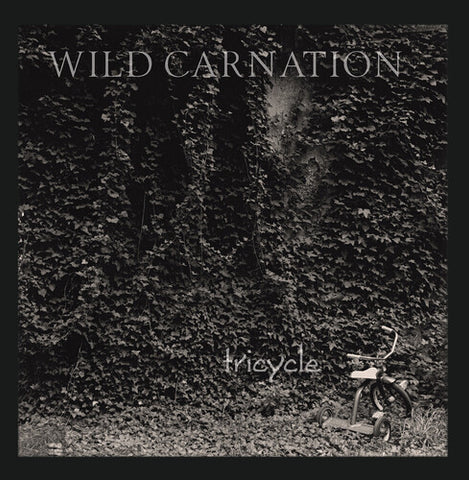 Wild Carnation - Tricycle [RSDAPRIL23]